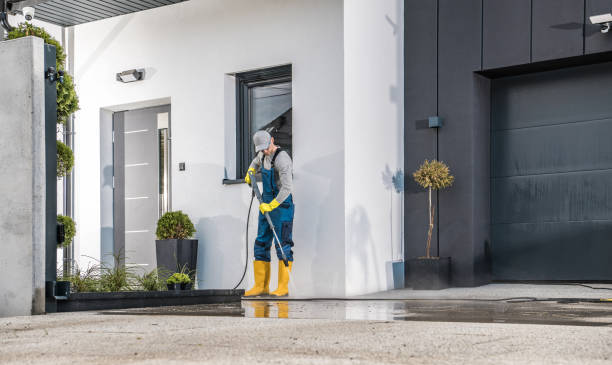 Best Rust Removal  in Crestwood Village, NJ